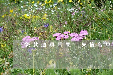 贷款逾期后果 失信名单 贷款逾期后果 失信名单